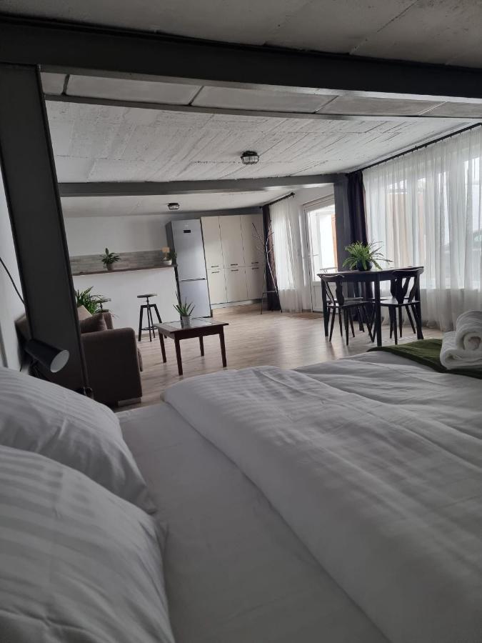 Appartement The Cozy Bunker à Sibiu Extérieur photo