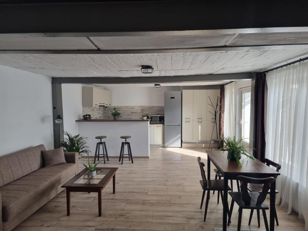 Appartement The Cozy Bunker à Sibiu Extérieur photo